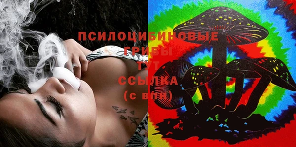 круглые Алзамай