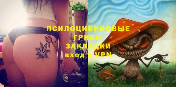 ECSTASY Сатка