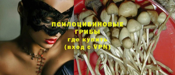 прущие крисы Алексин