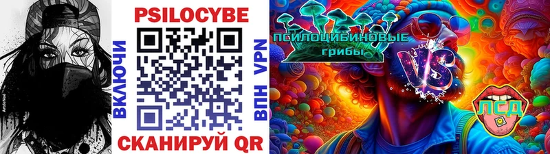 ссылка на мегу ссылки  Заполярный  Галлюциногенные грибы GOLDEN TEACHER 